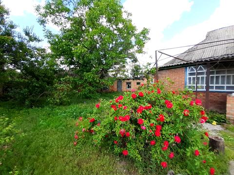 будинок за адресою Центральна вул. (Жовтнева), 3