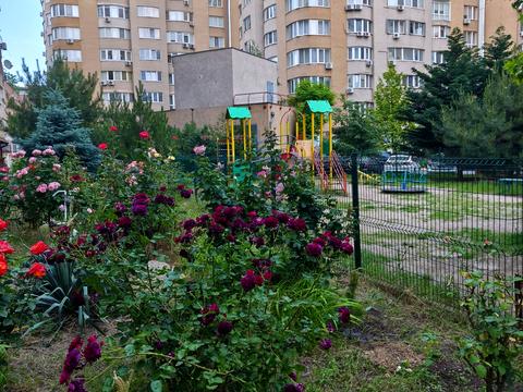 квартира за адресою Зоопаркова вул., 10