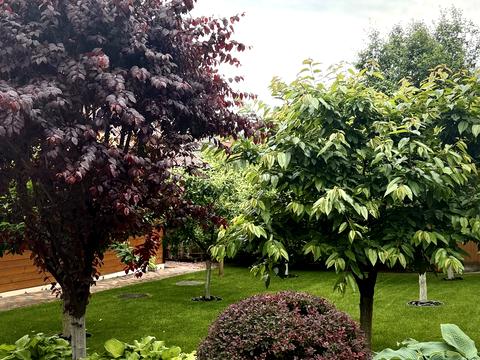 будинок за адресою с. Кожухівка, Калиновий Гай