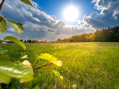 участок по адресу Житомирская ул. (Ватутіна)