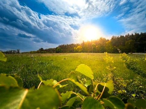 участок по адресу Житомирская ул. (Ватутіна)