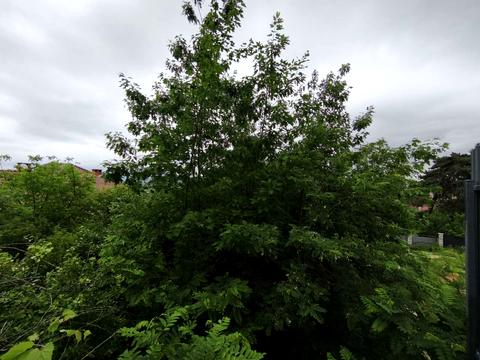 ділянка за адресою Ужгород, Мальовнича вул.