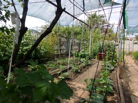 будинок за адресою Червоної Калини вул., 57