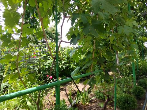 будинок за адресою Червоної Калини вул., 57
