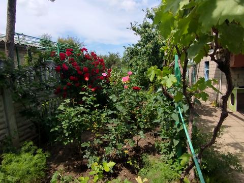 будинок за адресою Червоної Калини вул., 57
