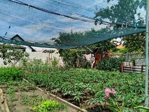 будинок за адресою Червоної Калини вул., 57
