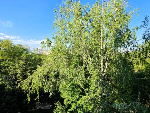 квартира за адресою Каденюка вул., 8