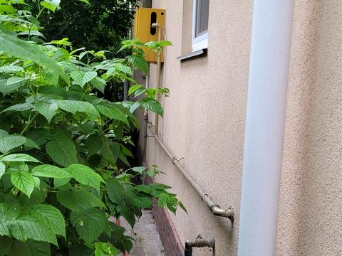 дом по адресу Гоголя