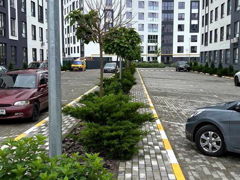квартира за адресою Мирна вул., 3