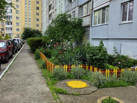 квартира по адресу Архитектора Старова ул., 10-Г
