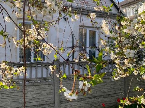 будинок за адресою Архітектора Богданова вул. (Василя Шкляра)
