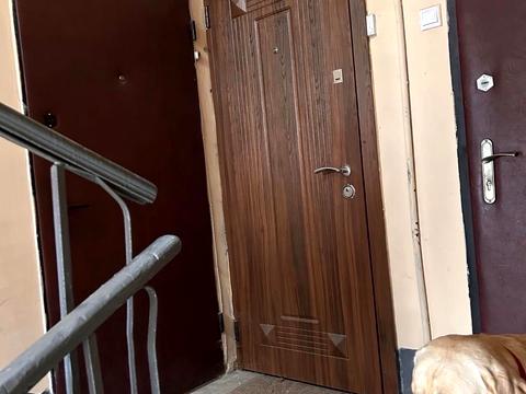 квартира за адресою Щусєва вул., 33