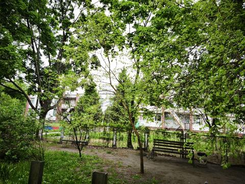 квартира за адресою Митрополита Андрея Шептицького вул. (Анатолія Луначарського), 24