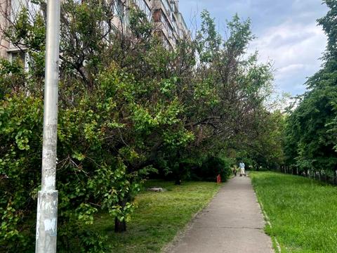 квартира за адресою Оноре де Бальзака вул., 48-А