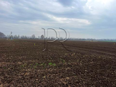 участок по адресу Чумацький шлях