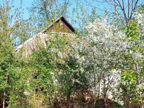 ділянка за адресою Устима Кармелюка, 8