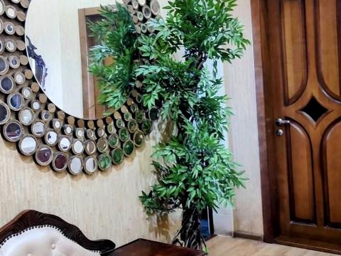 квартира по адресу Науки просп. (Ленина), 77