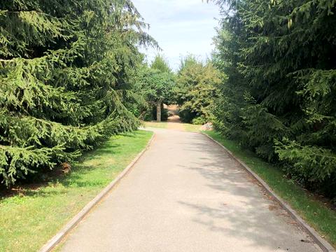 дом по адресу вул. Лесі Українки