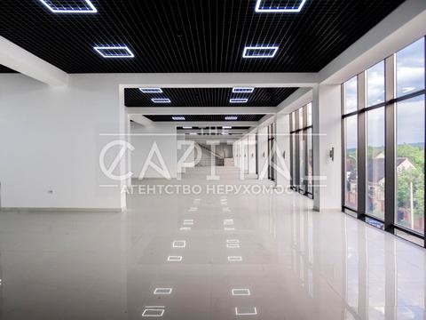 комерційна за адресою с. Бедевля, вайнагія, 10