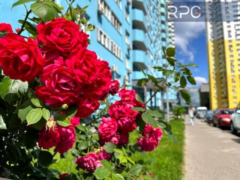 квартира за адресою Приміська вул., 26