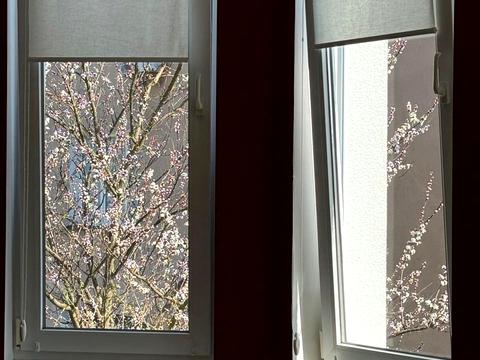 квартира за адресою Олександра Козловського вул., 2