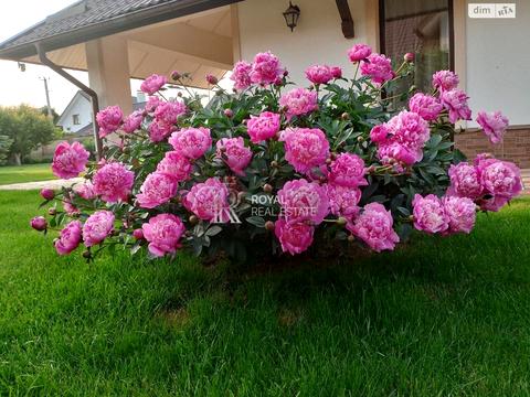 дом по адресу Авіаторів, 53