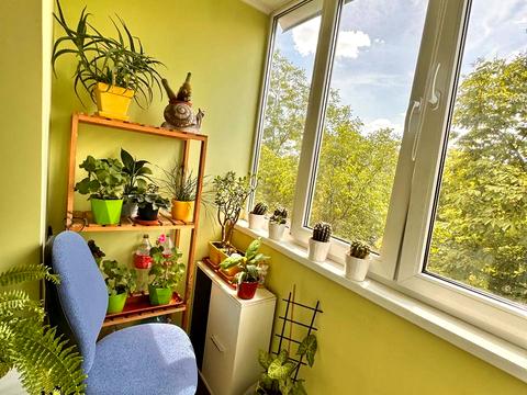 квартира по адресу Научная ул., 62