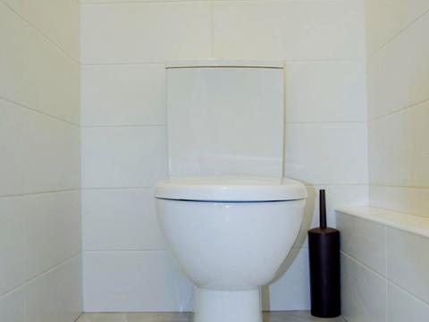 комерційна за адресою Олени Теліги вул., 6