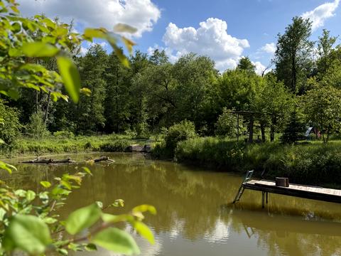 будинок за адресою с. Рославичі, Васильківська