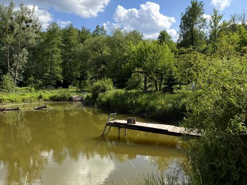 будинок за адресою с. Рославичі, Васильківська