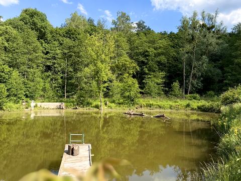 будинок за адресою с. Рославичі, Васильківська