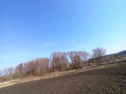 будинок за адресою Мічуріна