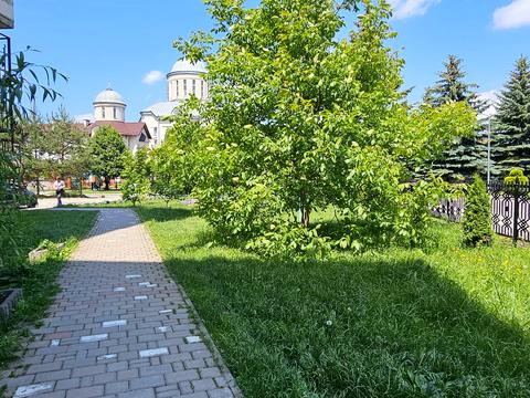 квартира по адресу Владимира Ивасюка ул., 50в