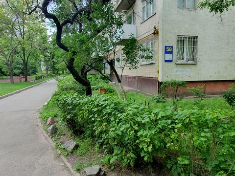 квартира за адресою Алішера Навої просп., 59