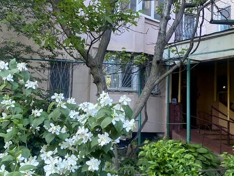 квартира за адресою Одеса, Семена Палія вул. (Дніпропетровська дорога), 66