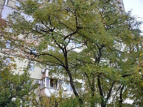 квартира по адресу Академика Ефремова ул. (Командарма Уборевича), 9