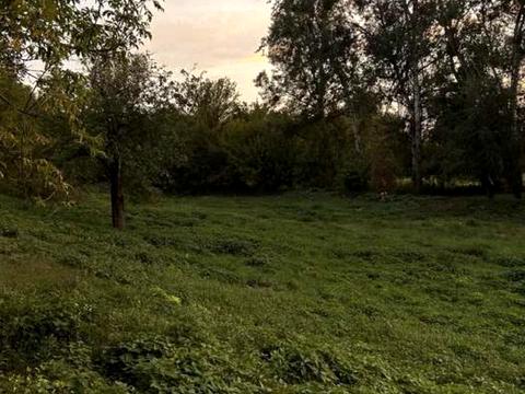 участок по адресу с. Старые Безрадичи, Набережна, 37
