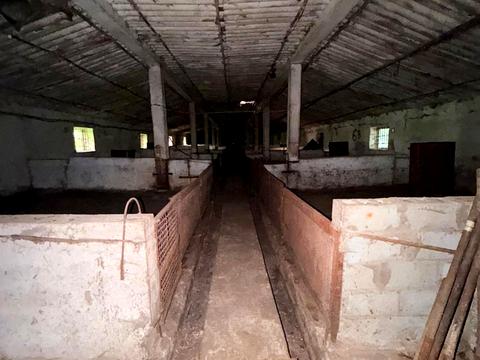 комерційна за адресою Андрушівка, Т. Г. Шевченка пл., 10