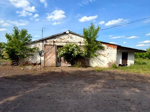 комерційна за адресою Андрушівка, Т. Г. Шевченка пл., 10