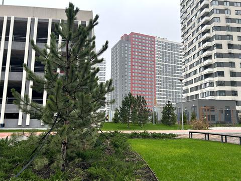 квартира за адресою Всеволода Змієнка вул., 30
