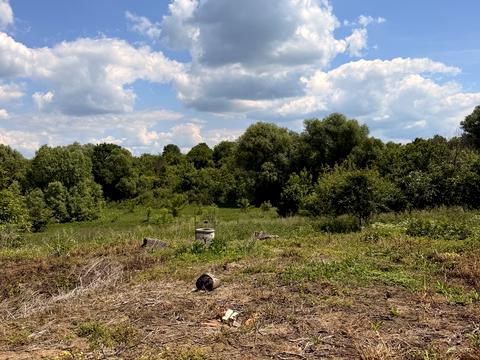 дом по адресу с. Редвинцы, Центральна, 36