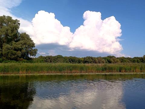 дом по адресу Горишние Плавни, Зарічна