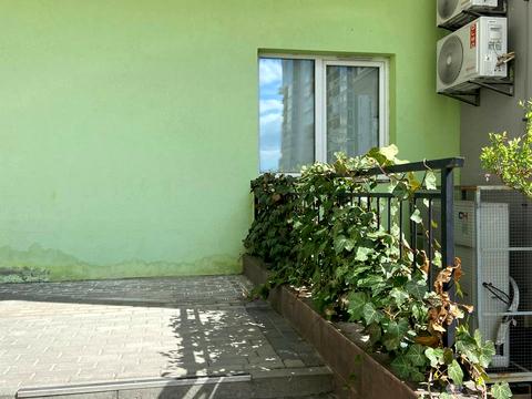 комерційна за адресою Тараса Шевченка вул., 19