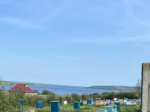 дом по адресу Шевченко