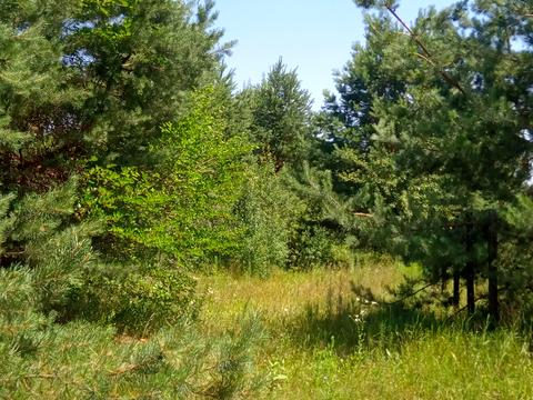 участок по адресу Василия Стуса ул. (Калініна)
