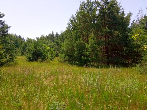 участок по адресу Василия Стуса ул. (Калініна)