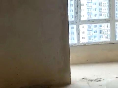 квартира по адресу Княгинин ул., (Будинок 24)