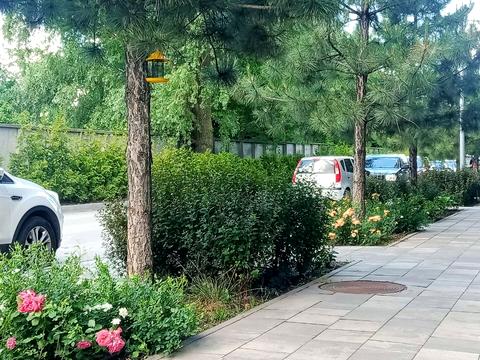 квартира за адресою Одеське шосе, 6-1