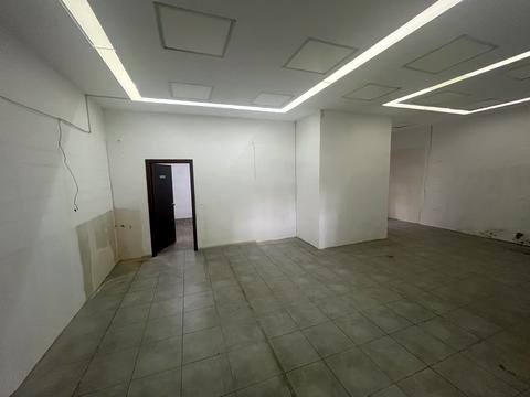 комерційна за адресою Раїси Окіпної вул., 10-А