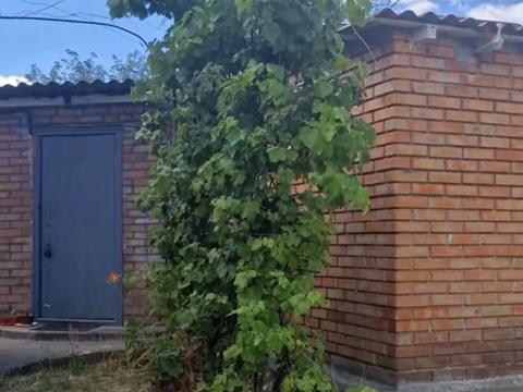 будинок за адресою Державності вул., 38